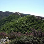 DSCF2506