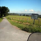 DSCN6592