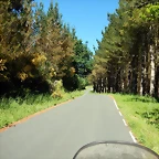 DSCN2320
