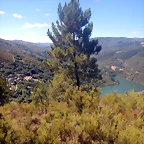 DSCN4585