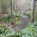 DSCN5731