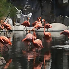 Argentina 2010 4276