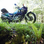 DSCN1101