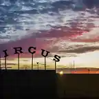 Circus