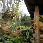DSCN1076'5