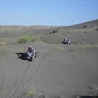 SDC10246