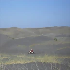 SDC10254