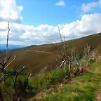 DSCN5013