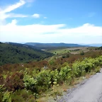 DSCN8313