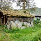 DSCN4291