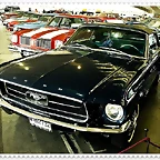 Mustang M-867732