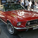 Mustang M-595553