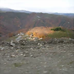 DSCN9669