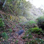 DSCN9360
