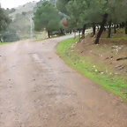 P1030029