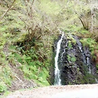 DSCN4228