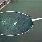 Monstruo del Lago Ness