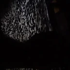 Video Hugo IG Stories 9-11-2017 (1)