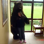 Paula y el oso amoroso!