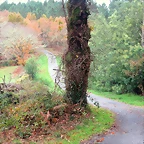 38-IMG_3896