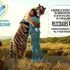 abrazo