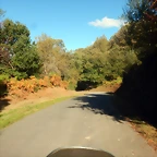 DSCN4181