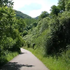 DSCN1883