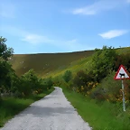 DSCN1900
