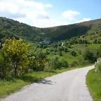 DSCN1904