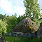 DSCN1942