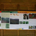 DSCN1931
