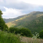 DSCN1951