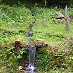 DSCN1965