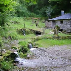DSCN1966