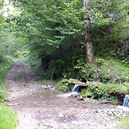 DSCN1960
