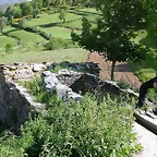 DSCN1917