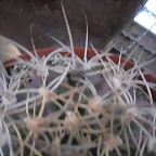SAM_1140