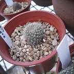 SAM_1139