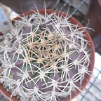 SAM_1141