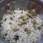 SAM_1147