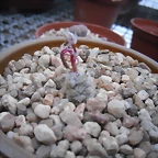 SAM_1142