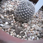 SAM_1138