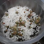 SAM_1146