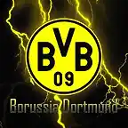 12dc5365dde8994a71bb48d8e1b79fff--bvb-legends_r2_c1