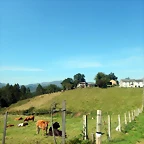 DSCN0646