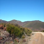 DSCN6838