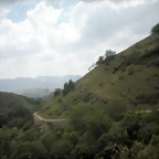 DSCN3595