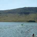 P1160420