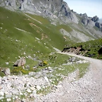 DSCN8189