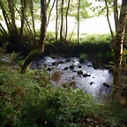 DSCN8416